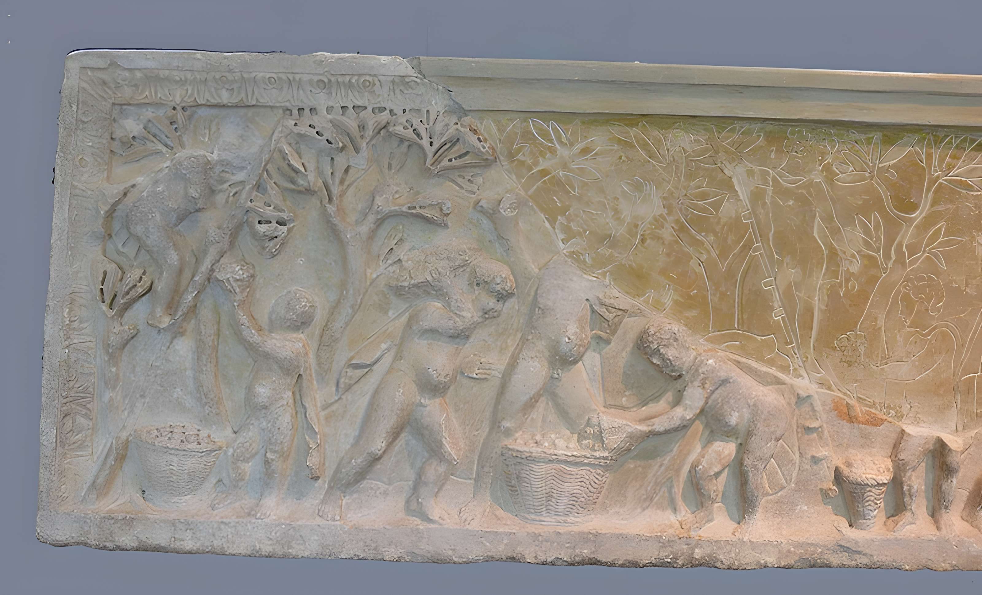 Nécropole des Alyscamps et Église Saint-Honorat à Arles