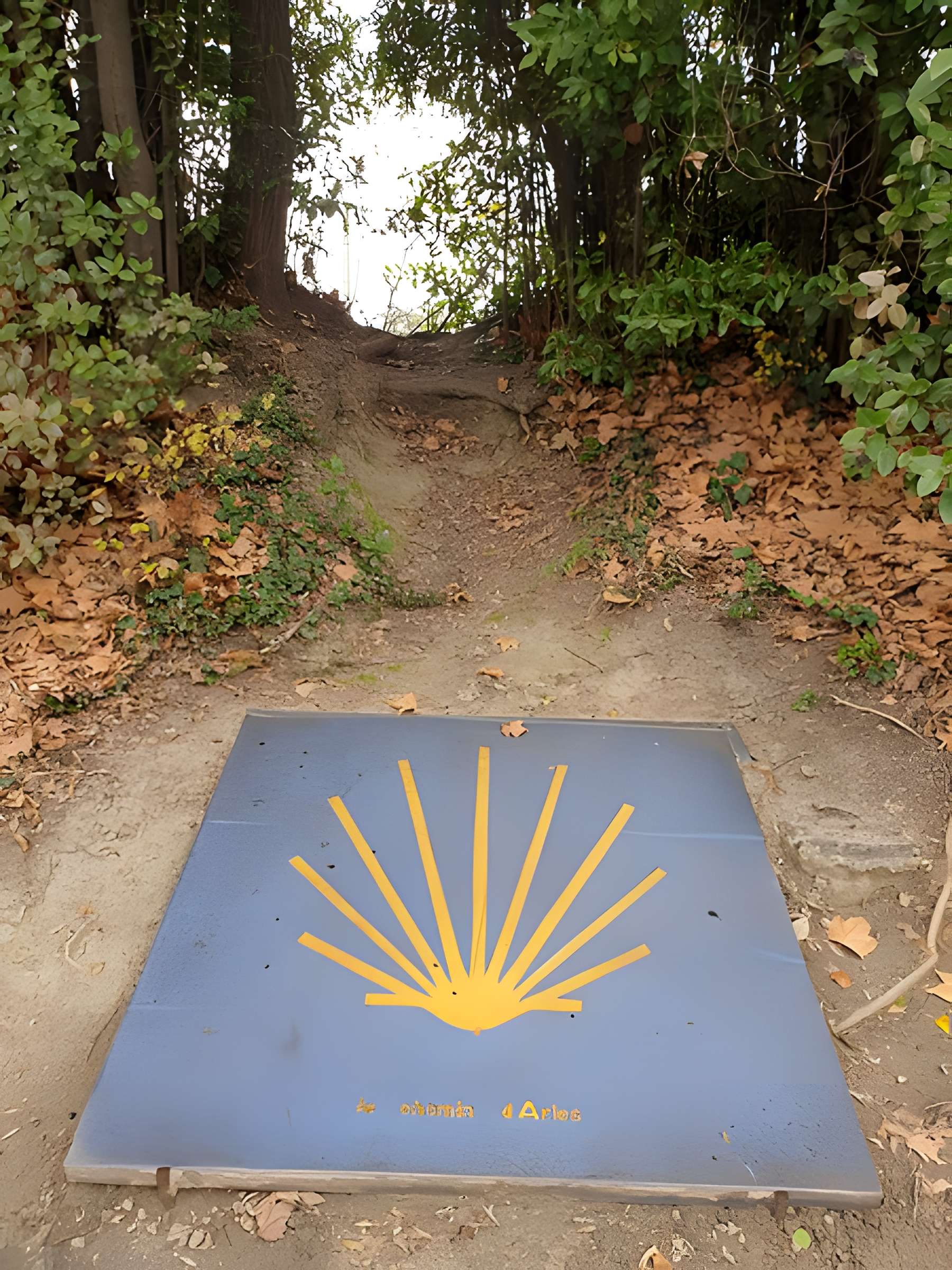 Nécropole des Alyscamps et Église Saint-Honorat à Arles
