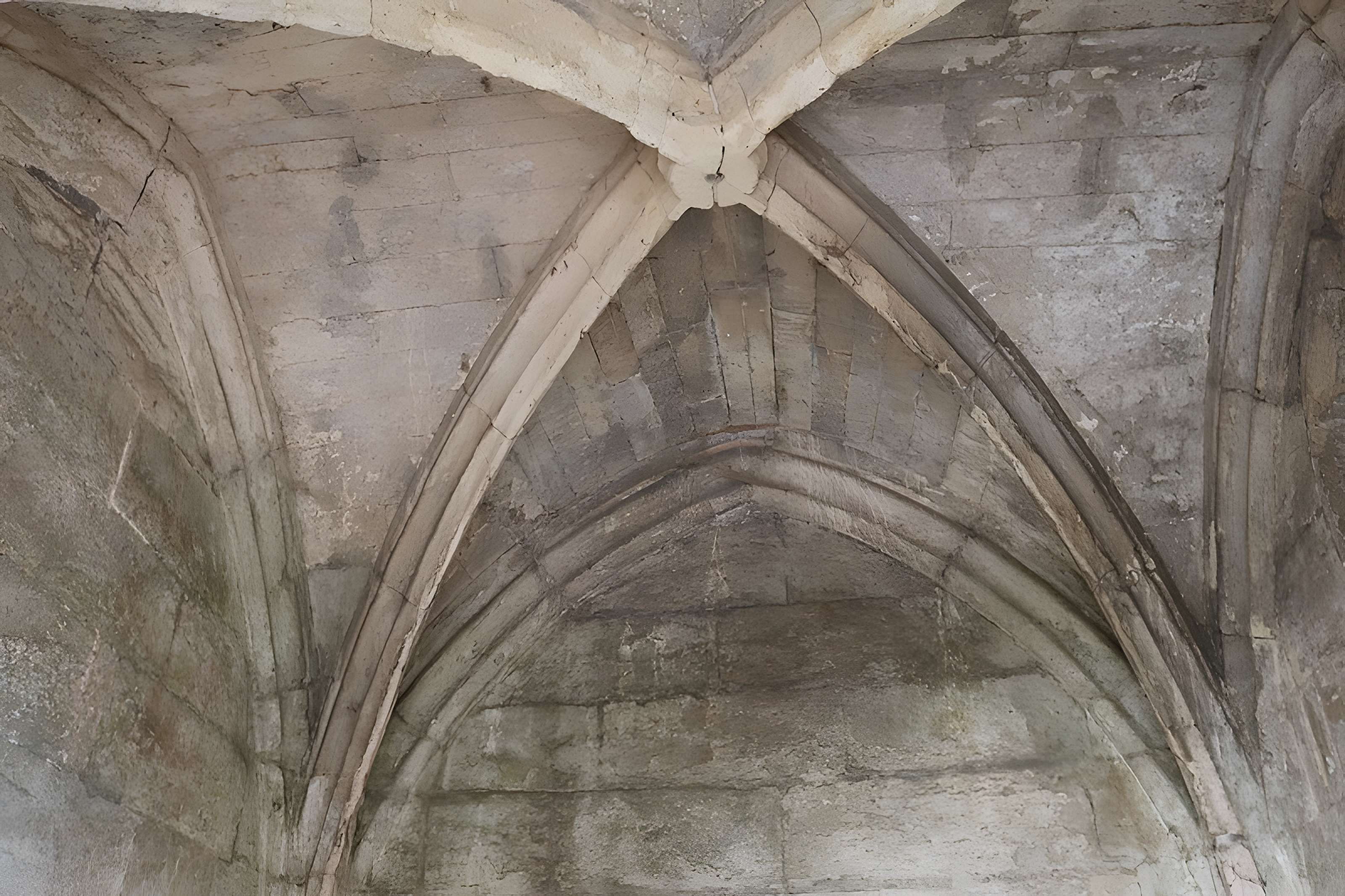 Nécropole des Alyscamps et Église Saint-Honorat à Arles