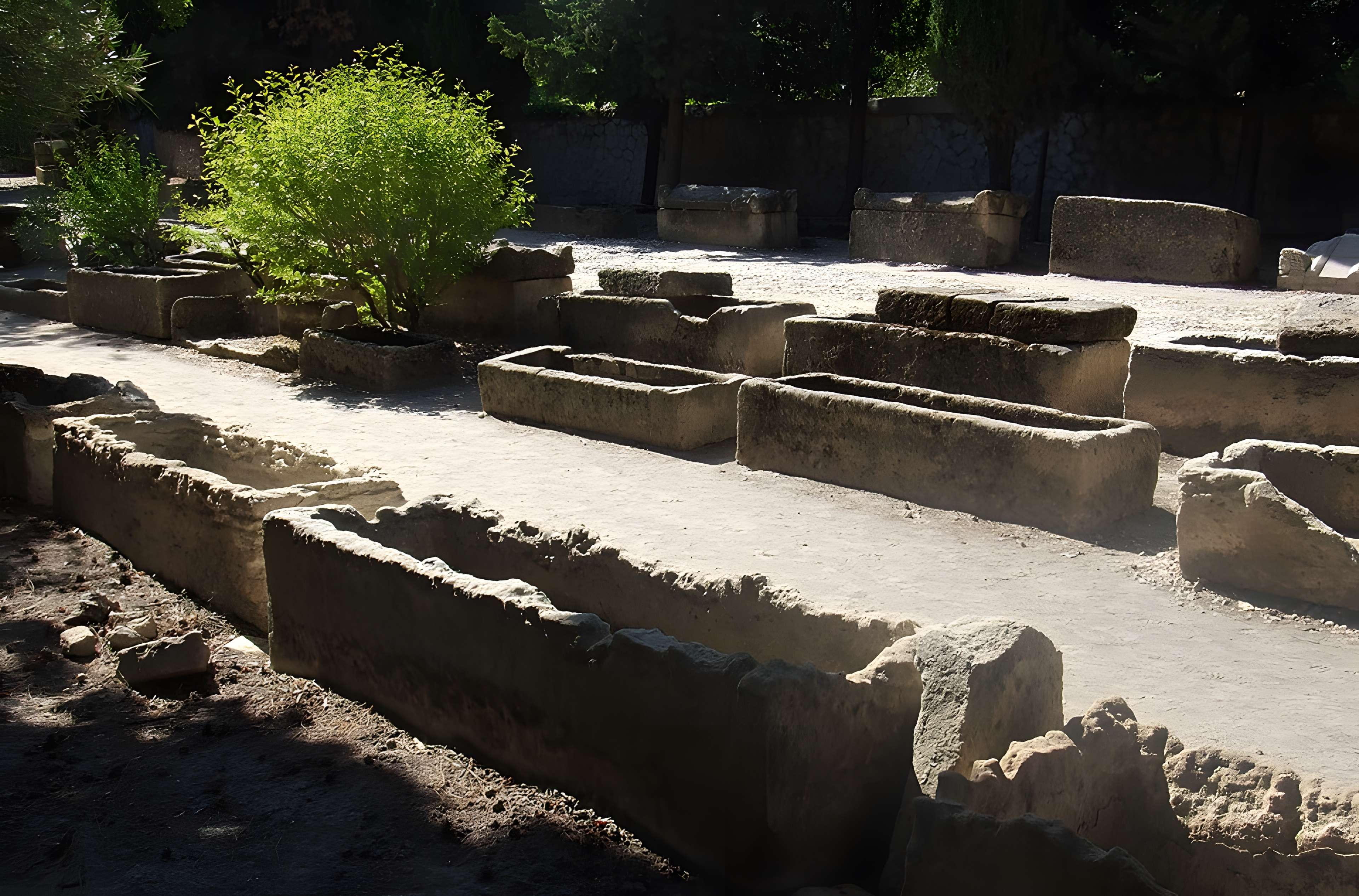 Nécropole des Alyscamps et Église Saint-Honorat à Arles