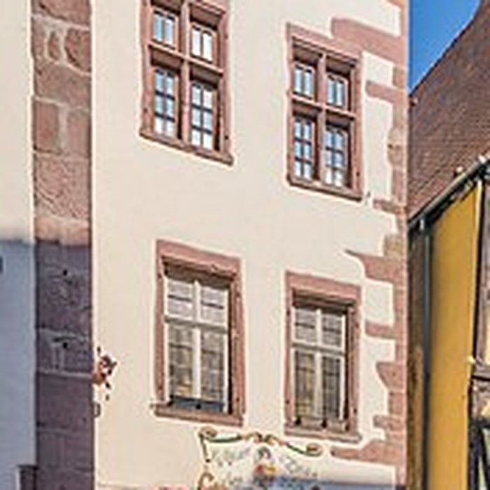 Photo de Nid de Cigognes de Riquewihr