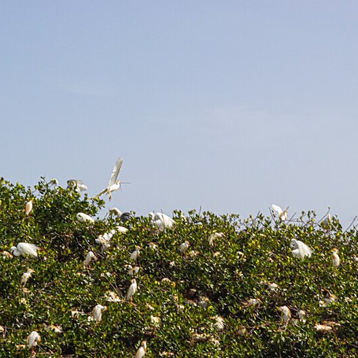 Photo de Nid de Cigognes de Riquewihr