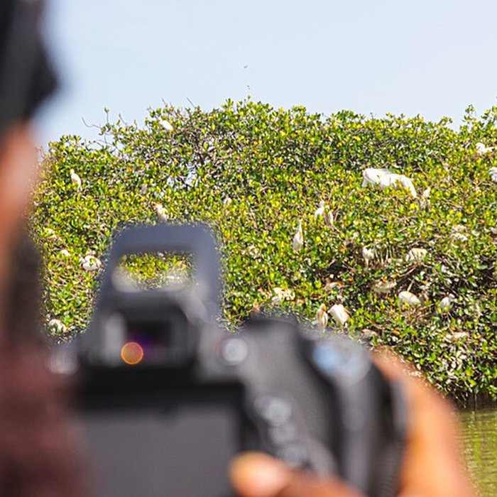 Photo de Nid de Cigognes de Riquewihr