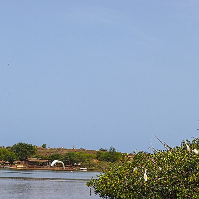 Photo de Nid de Cigognes de Riquewihr
