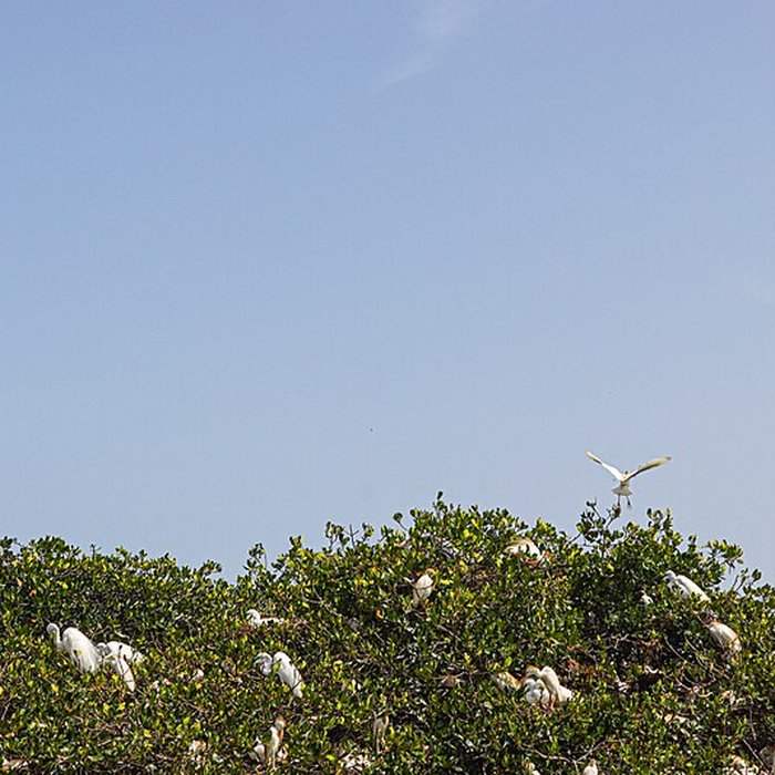 Photo de Nid de Cigognes de Riquewihr