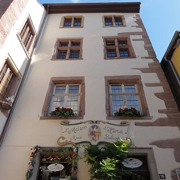 Nid de Cigognes de Riquewihr