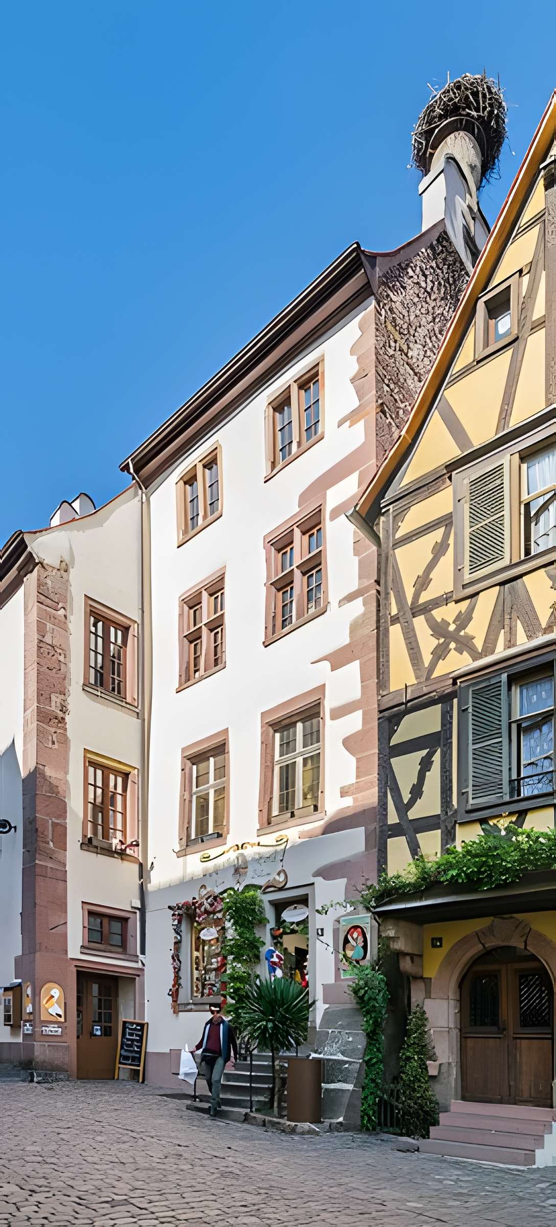 Nid de Cigognes de Riquewihr