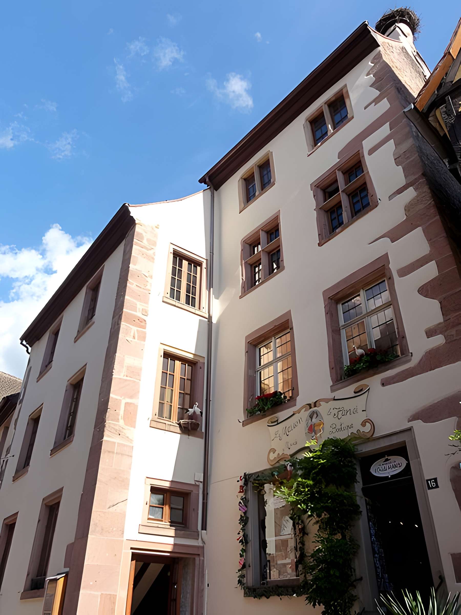 Nid de Cigognes de Riquewihr