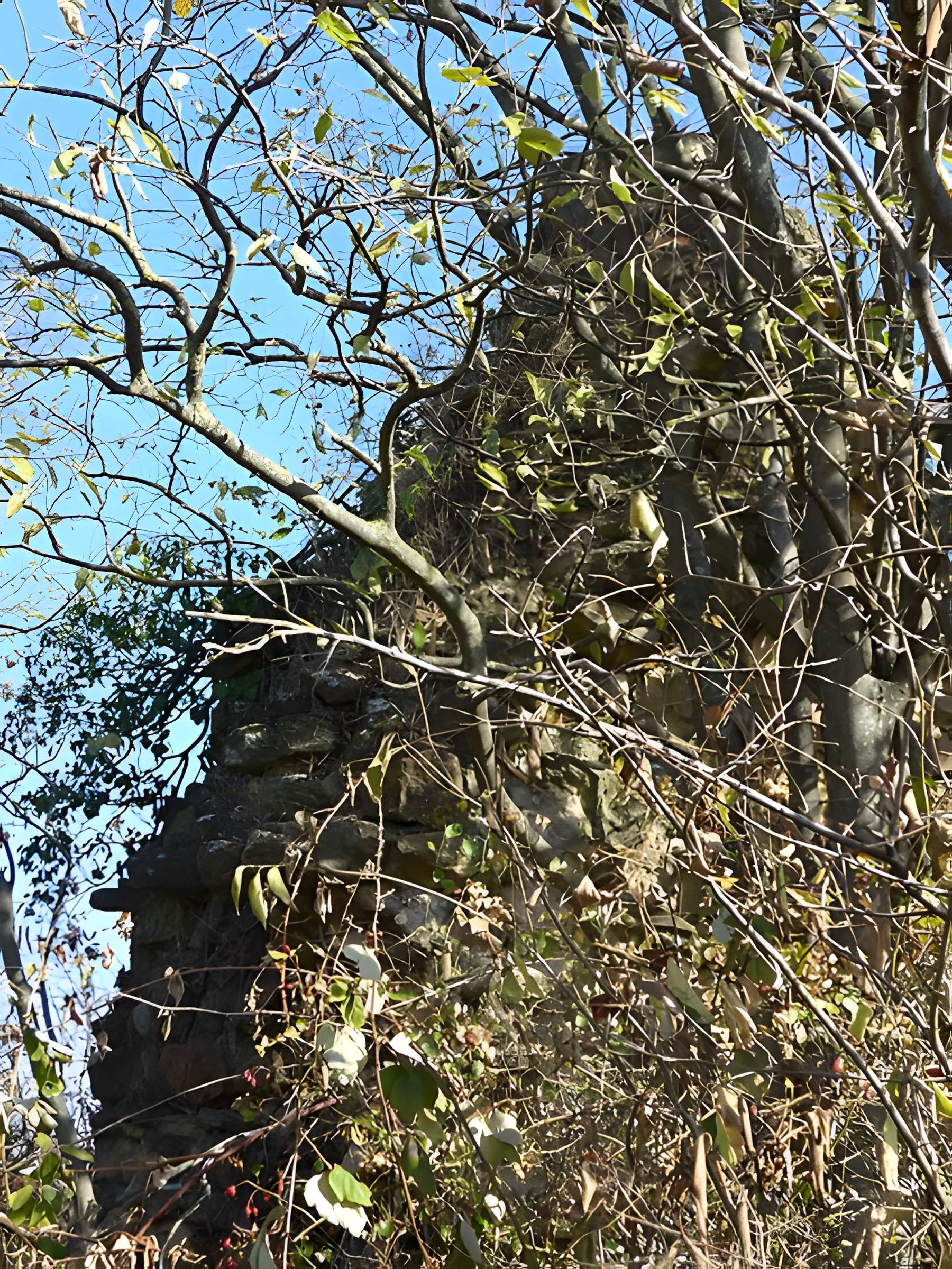 Chapelle Saint-Gervais de Portes-lès-Valence