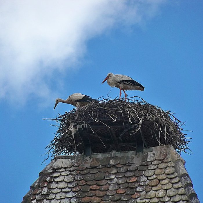 Photo de Niedertor de Turckheim