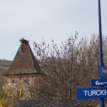 Niedertor de Turckheim