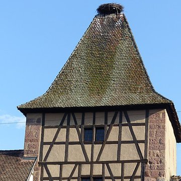 Niedertor de Turckheim