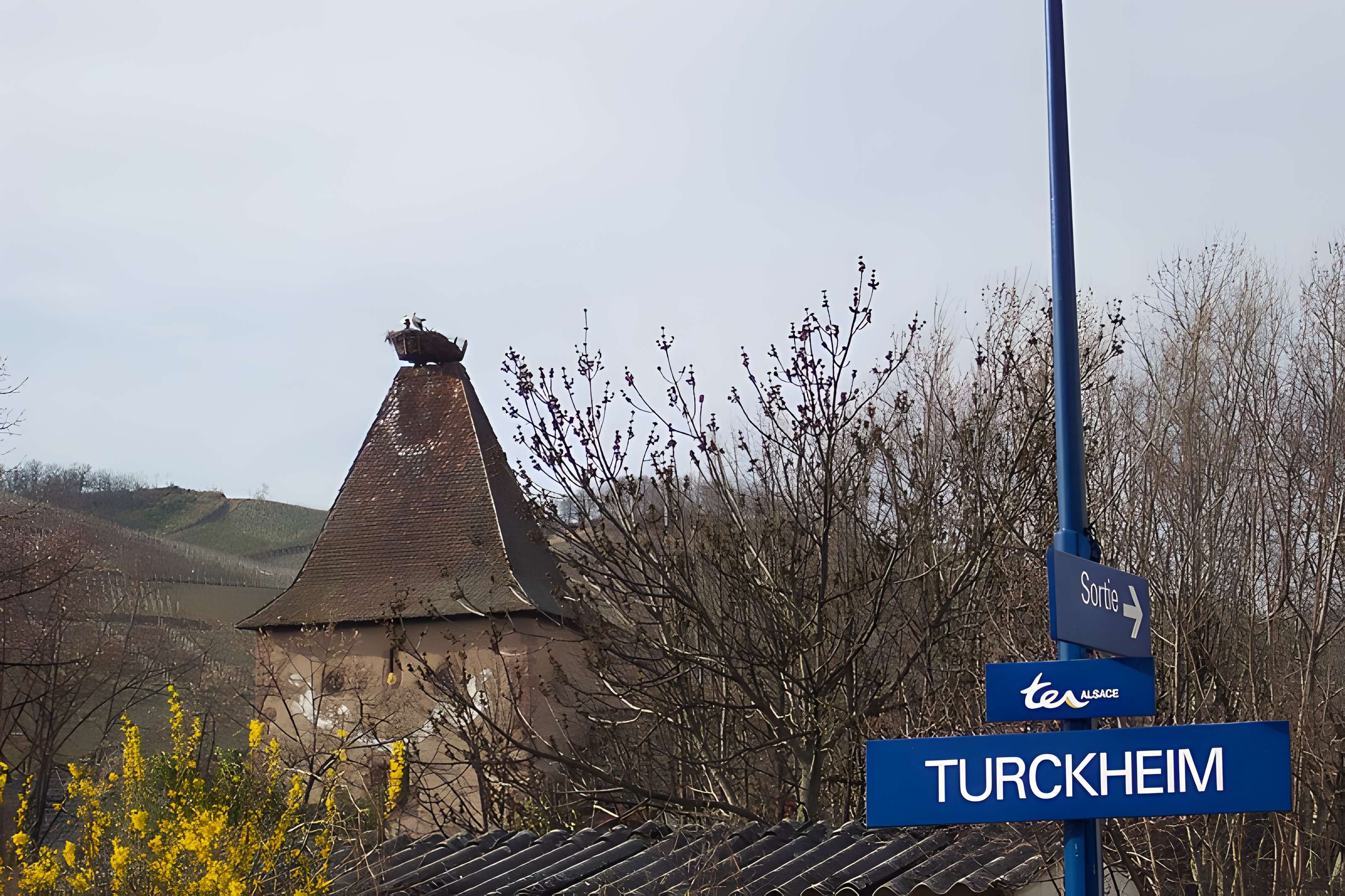 Niedertor de Turckheim