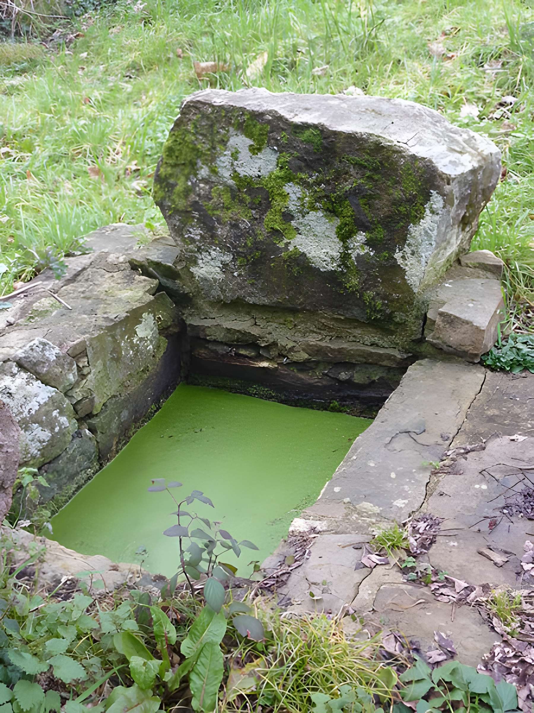 Chapelle Saint-Guénolé de Plougastel-Daoulas