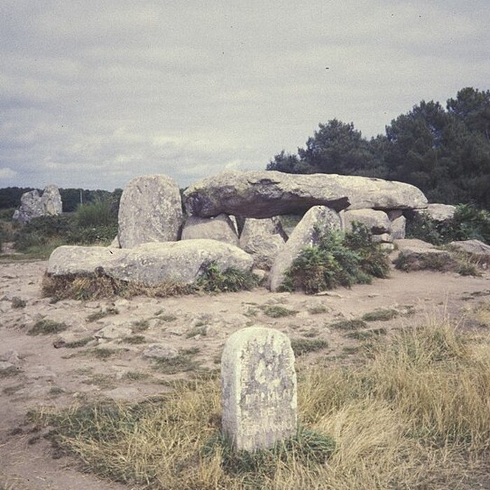 Photo de Dolmen de Kermario à Carnac