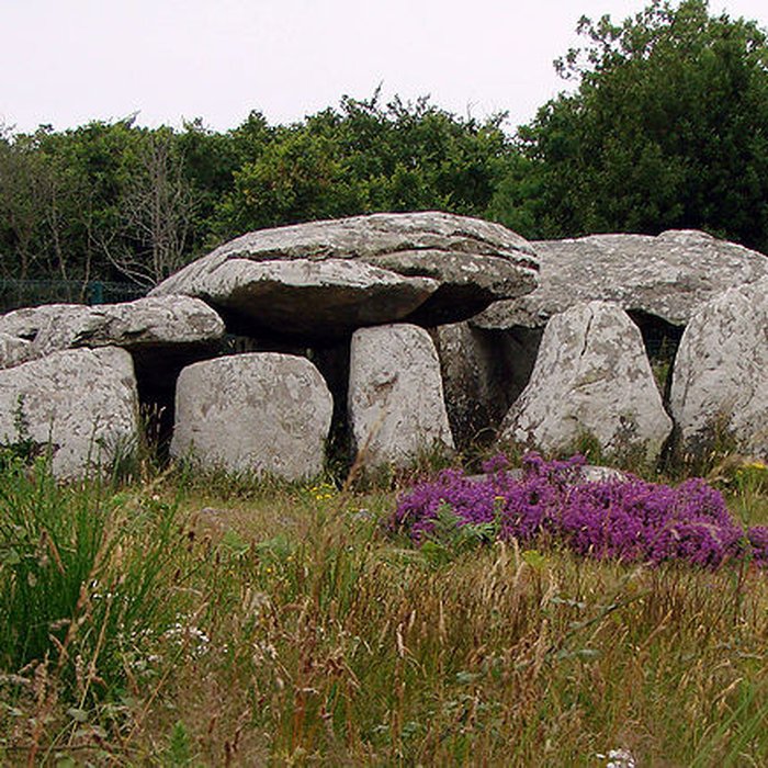 Photo de Dolmen de Kermario à Carnac