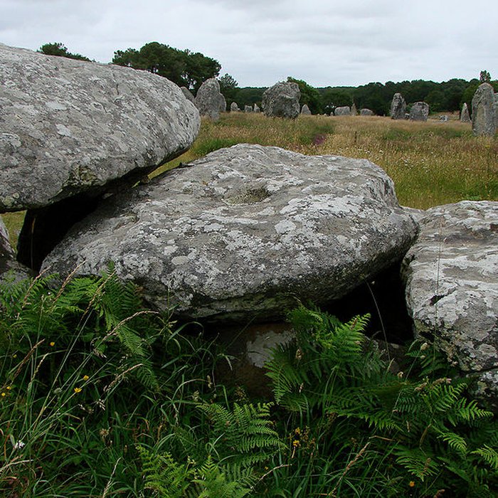 Photo de Dolmen de Kermario à Carnac