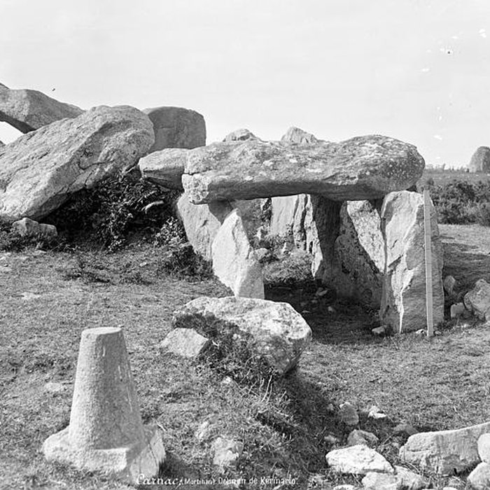Photo de Dolmen de Kermario à Carnac