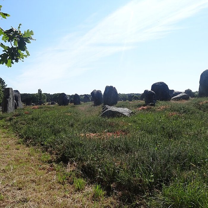 Photo de Dolmen de Kermario à Carnac