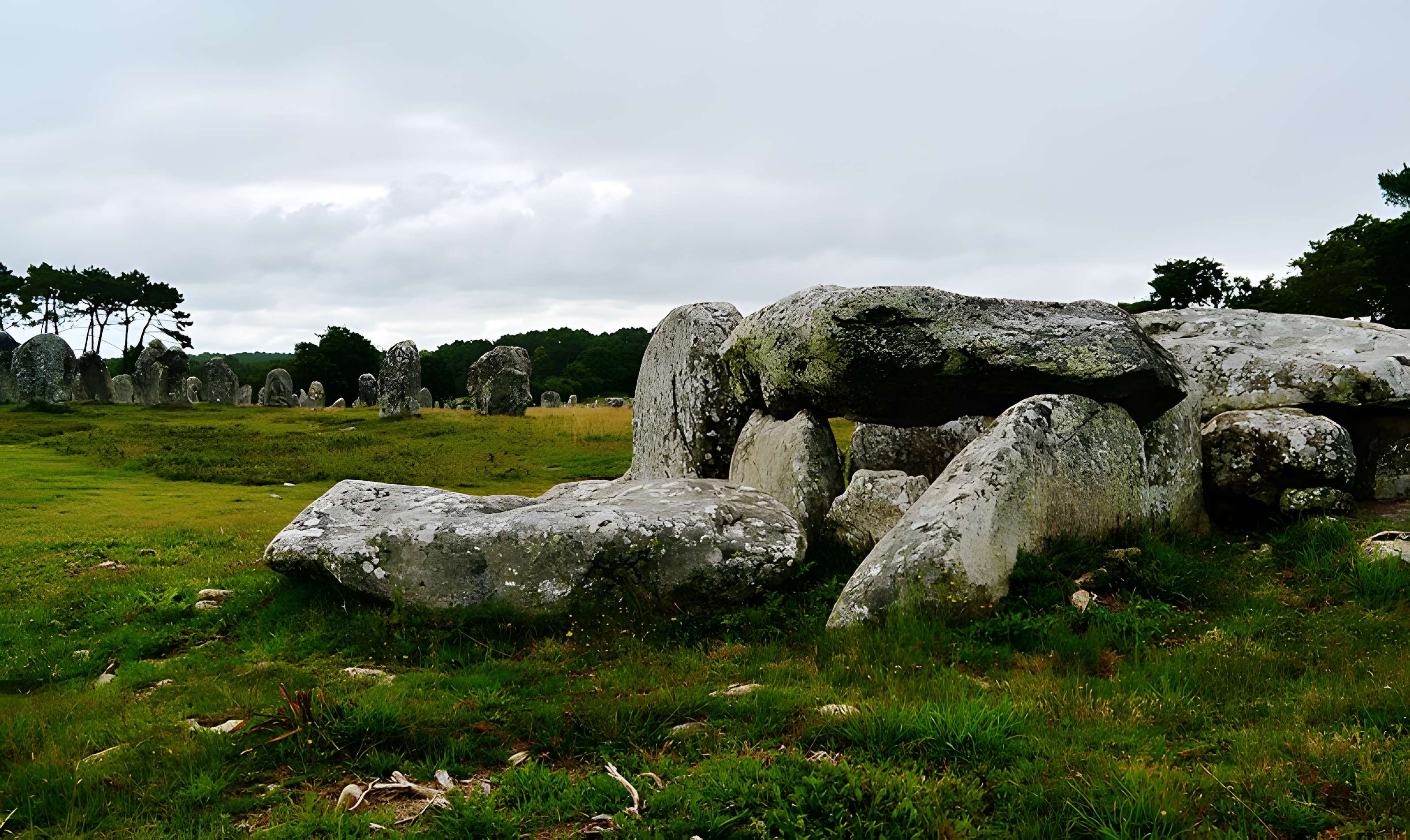 Dolmen de Kermario à Carnac