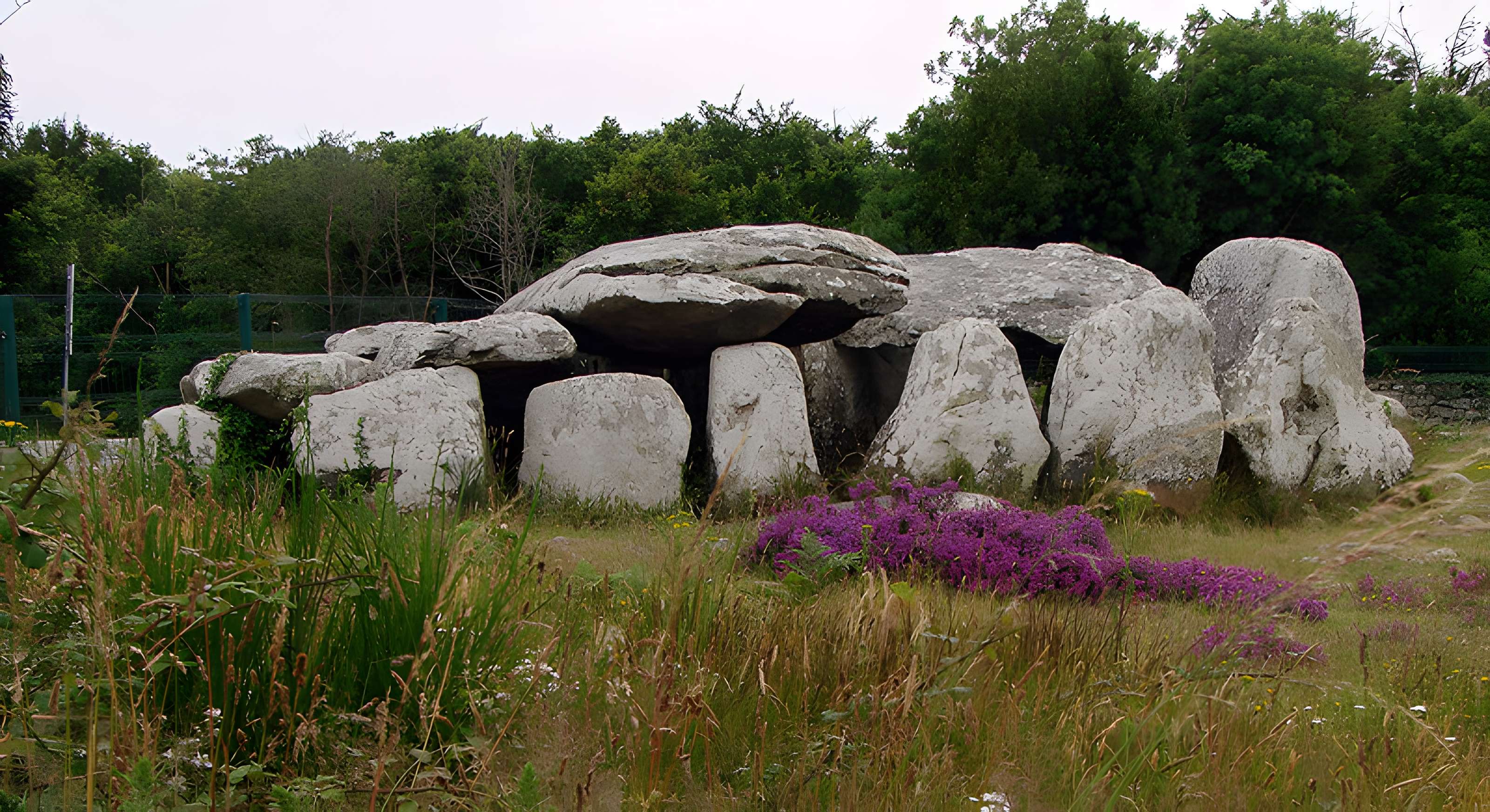 Dolmen de Kermario à Carnac