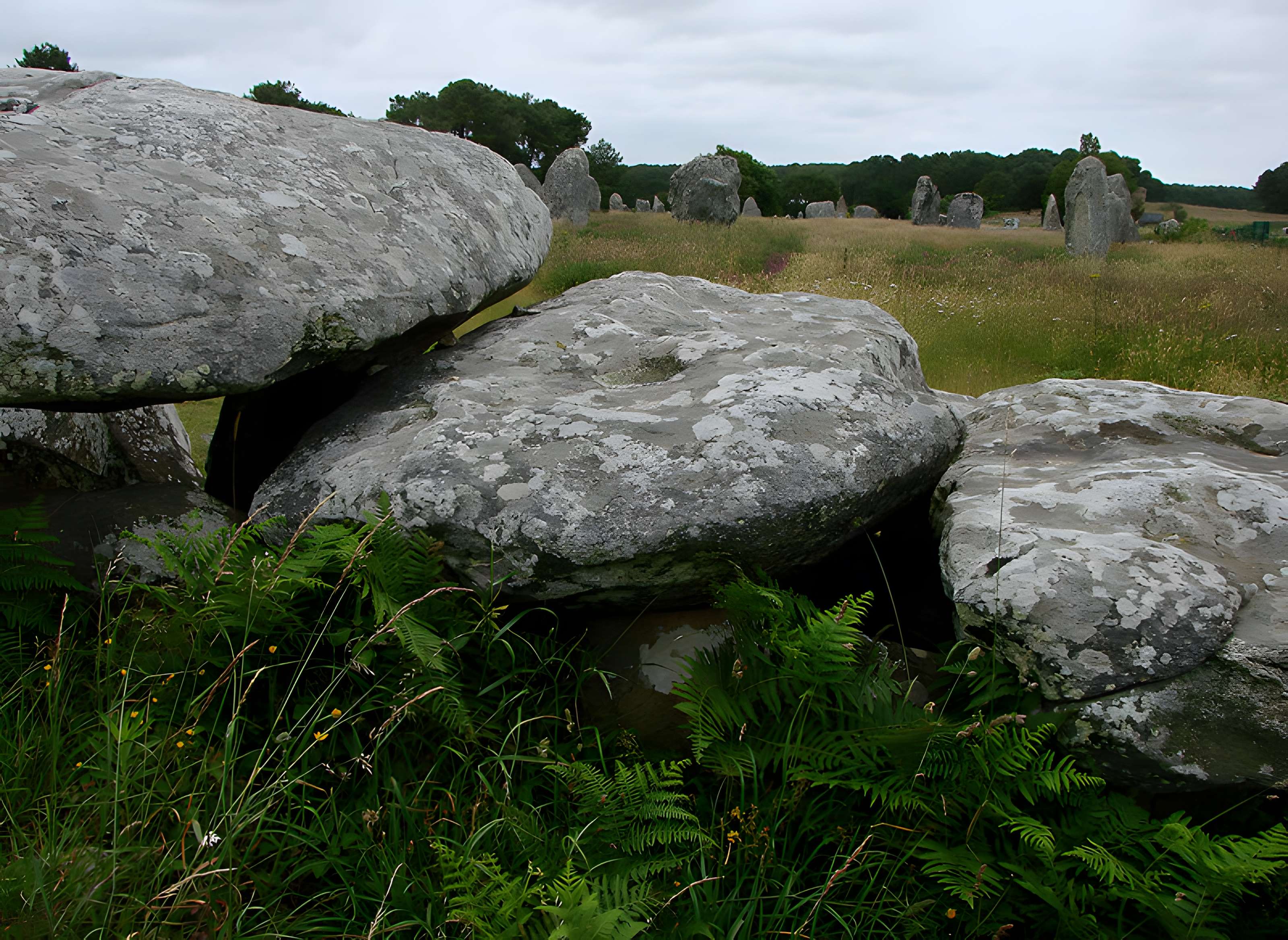 Dolmen de Kermario à Carnac