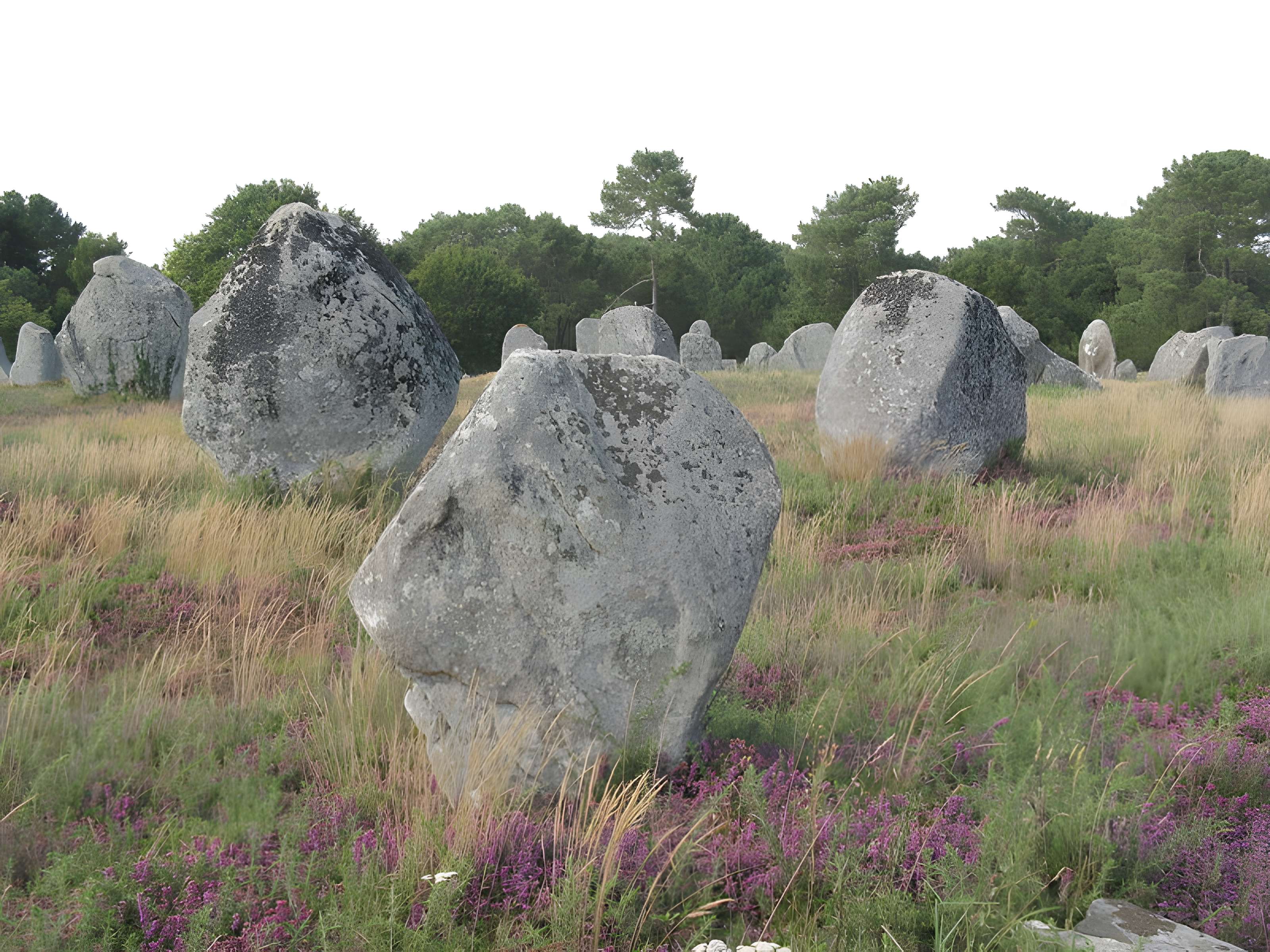 Dolmen de Kermario à Carnac