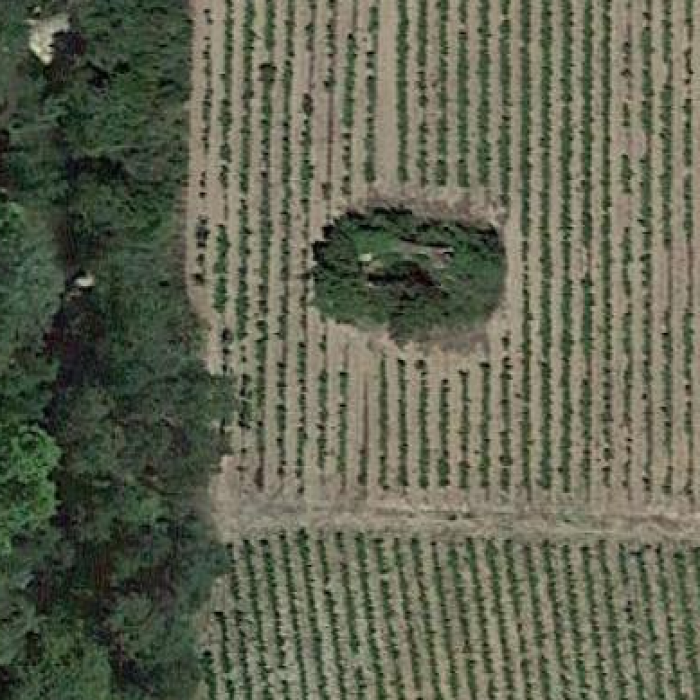 Photo de Restes de la chapelle champêtre de Saint-Laurent