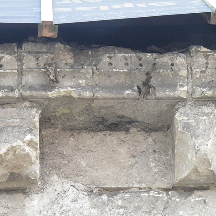 Photo de Chapelle Saint-Libert de Tours