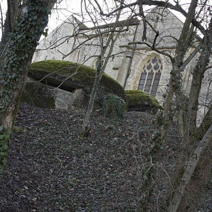 Photo de Chapelle Saint-Lié de Ville-Dommange