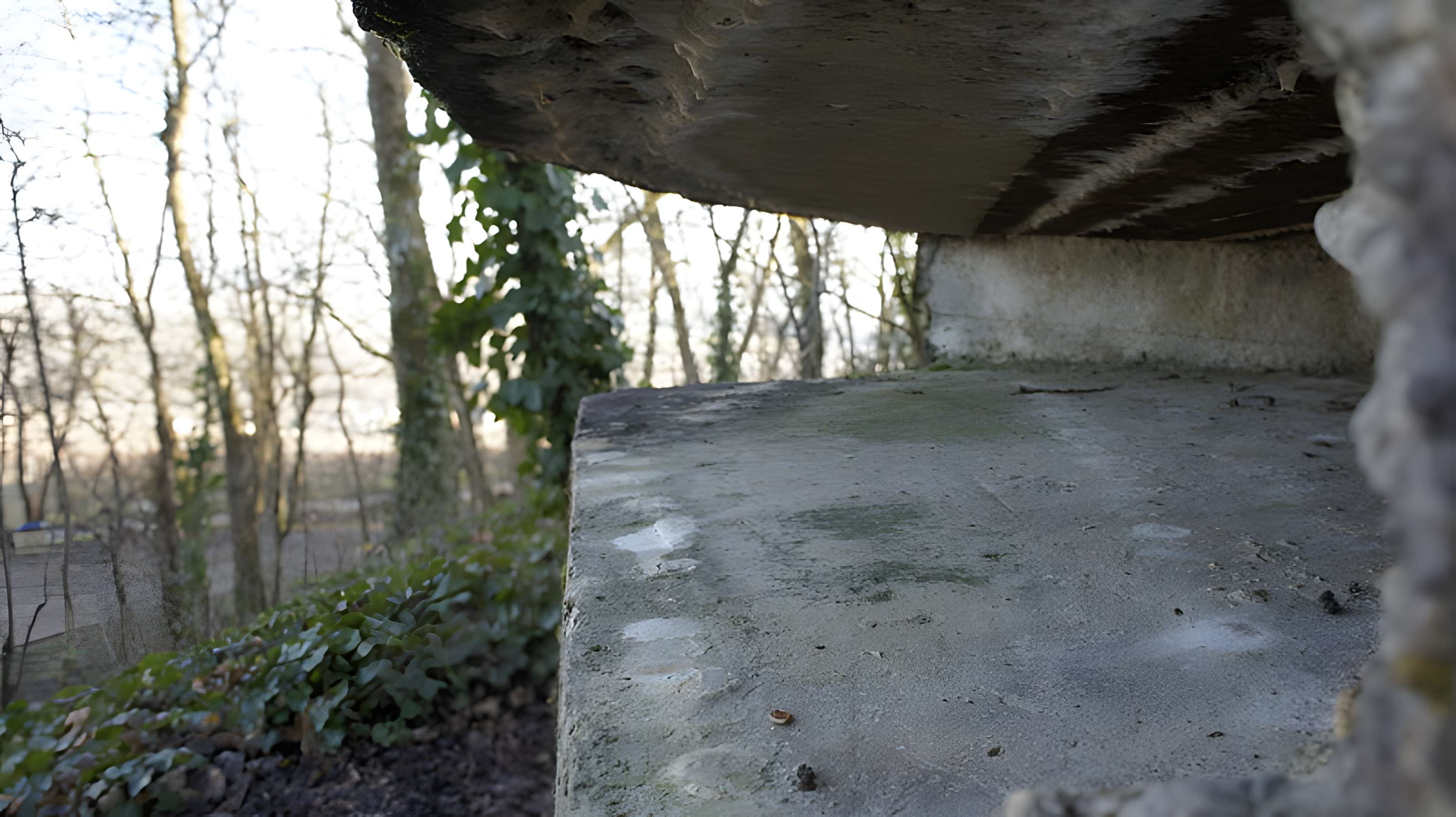 Chapelle Saint-Lié de Ville-Dommange