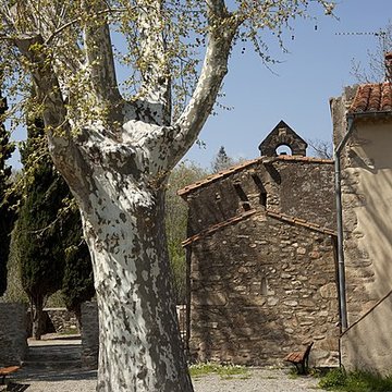 Chapelle Saint-Martin de Fenollar