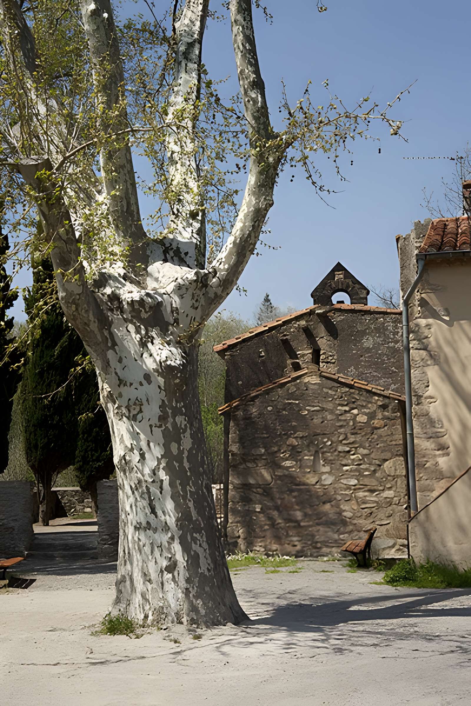 Chapelle Saint-Martin de Fenollar