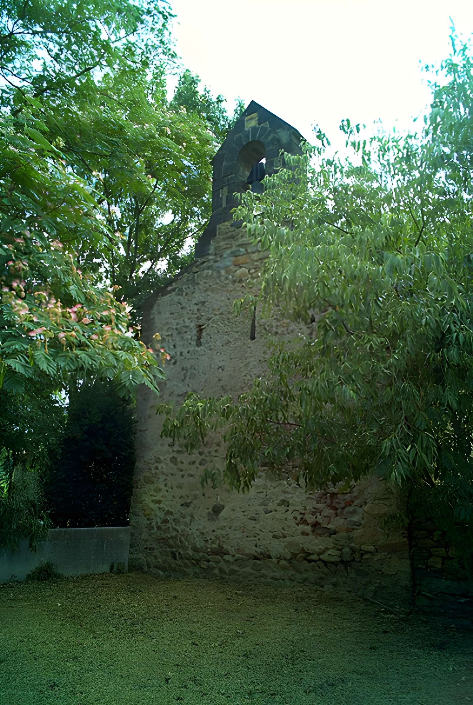 Chapelle Saint-Martin de Fenollar