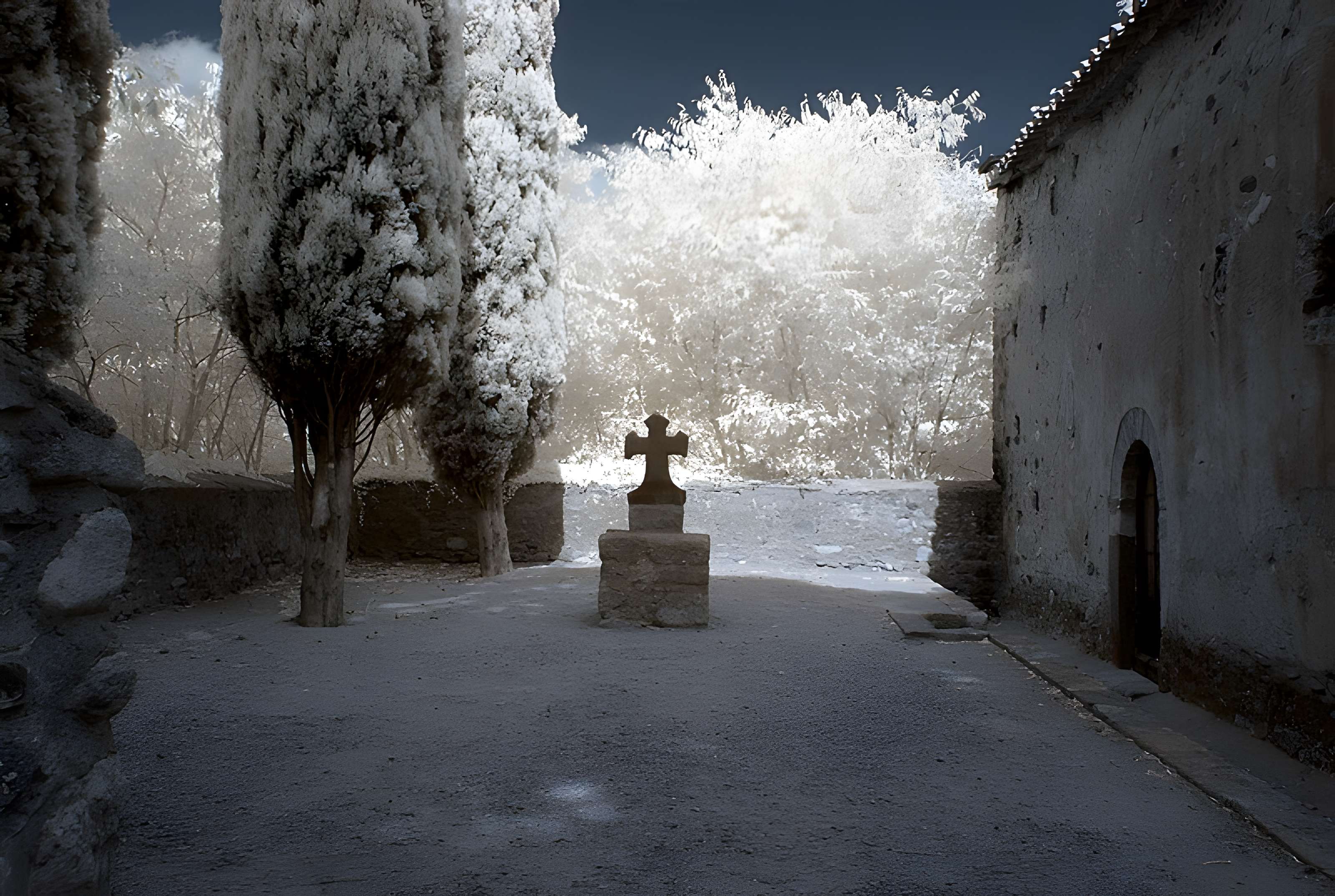 Chapelle Saint-Martin de Fenollar