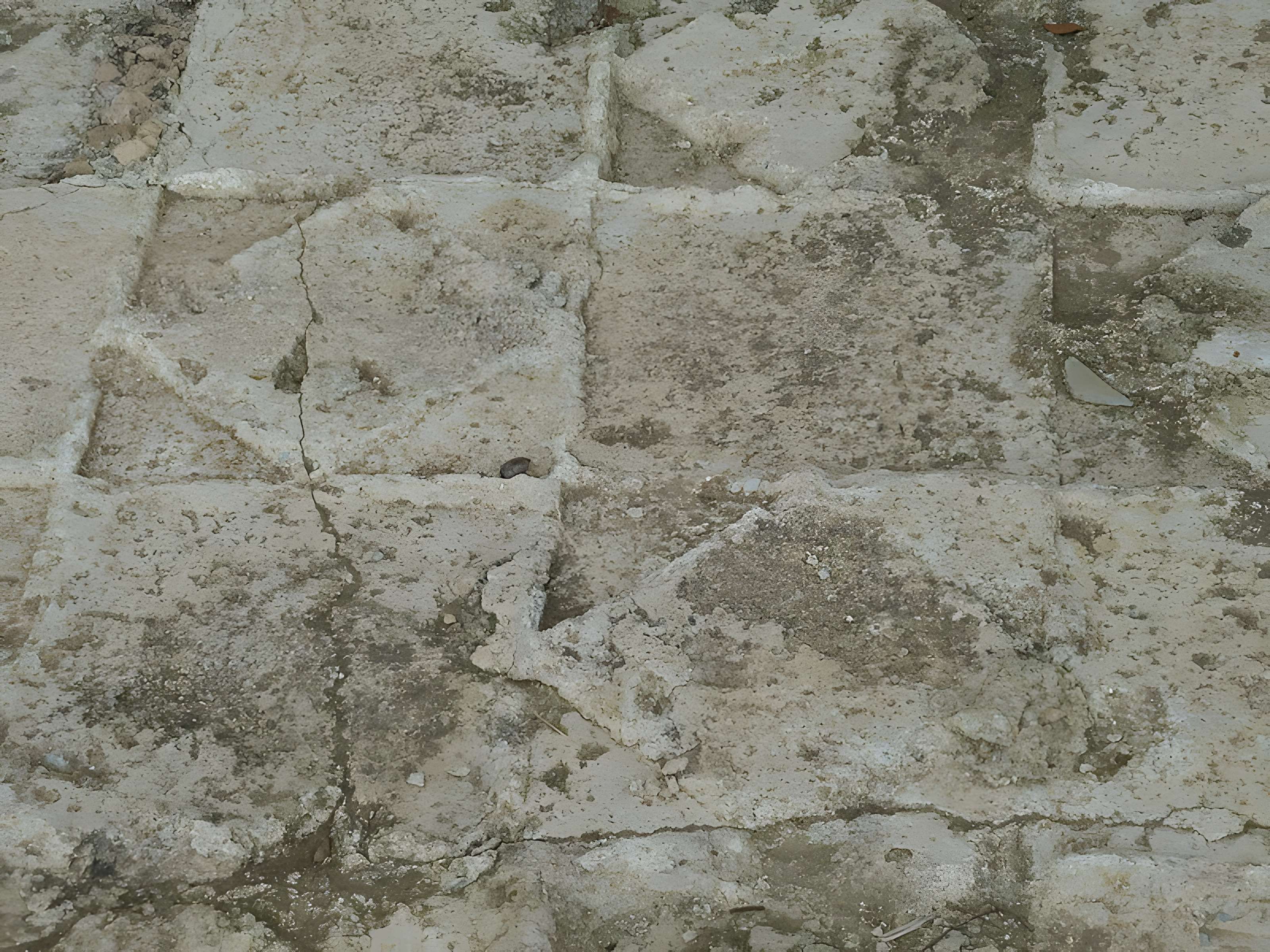 Oppidum d'Altimurium à Murviel-lès-Montpellier