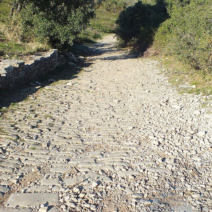 Photo de Oppidum dAmbrussum à Villetelle