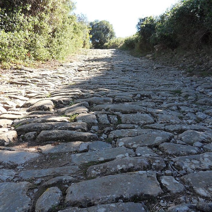 Photo de Oppidum dAmbrussum à Villetelle