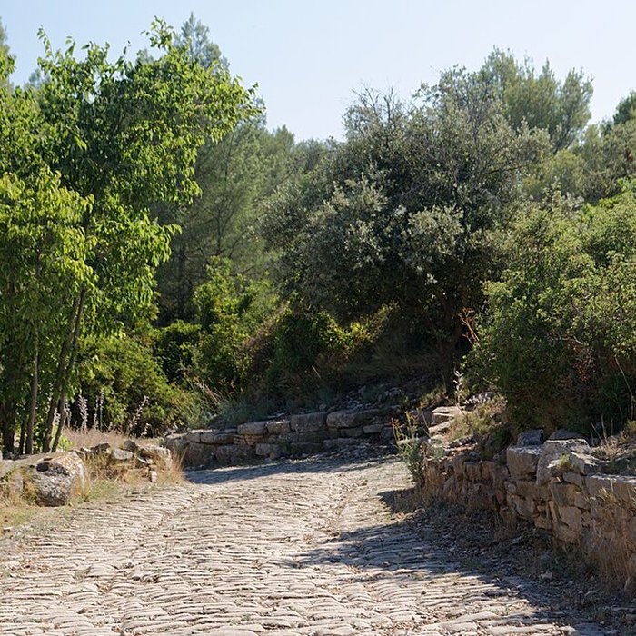 Photo de Oppidum dAmbrussum à Villetelle
