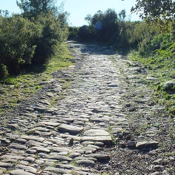 Oppidum dAmbrussum à Villetelle
