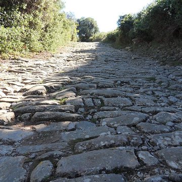 Oppidum dAmbrussum à Villetelle