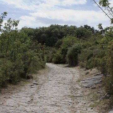 Oppidum dAmbrussum à Villetelle