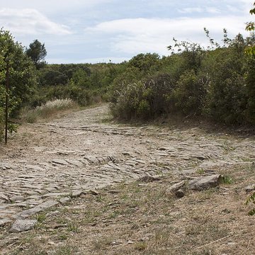 Oppidum dAmbrussum à Villetelle