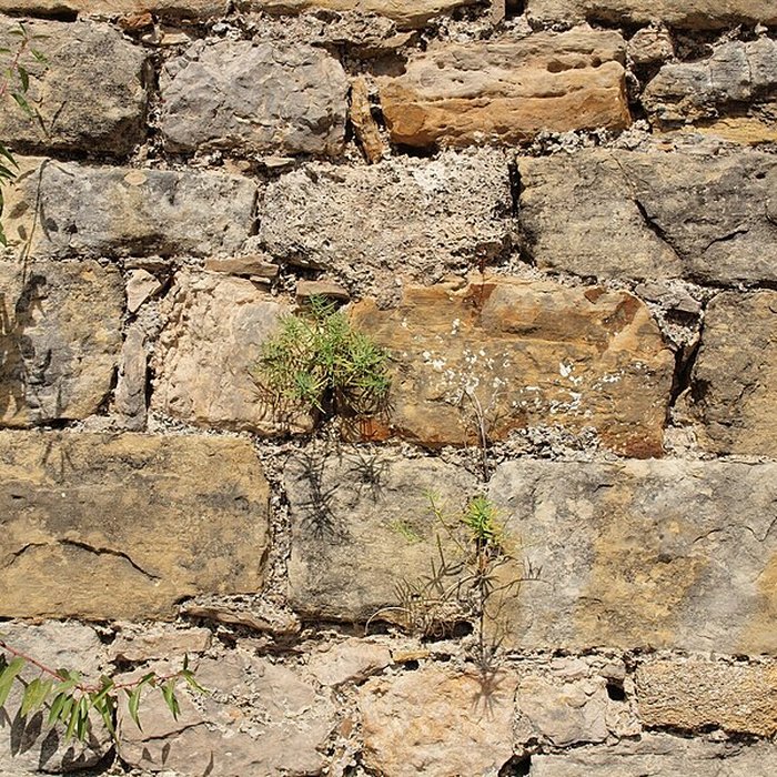 Photo de Chapelle Saint-Michel de Fuveau