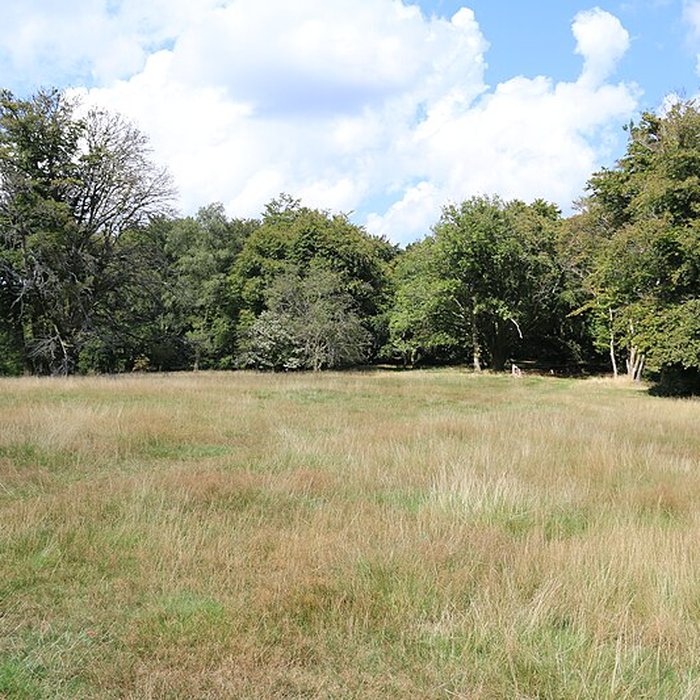Photo de Oppidum du Mont-Beuvray, également dénommé oppidum de Bibracte également sur commune de Saint-Léger-sous-Beuvray, dans la Saône-et-Loire