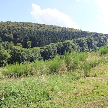 Oppidum du Mont-Beuvray, dit aussi oppidum de Bibracte également sur commune de Glux-en-Glenne, dans la Nièvre
