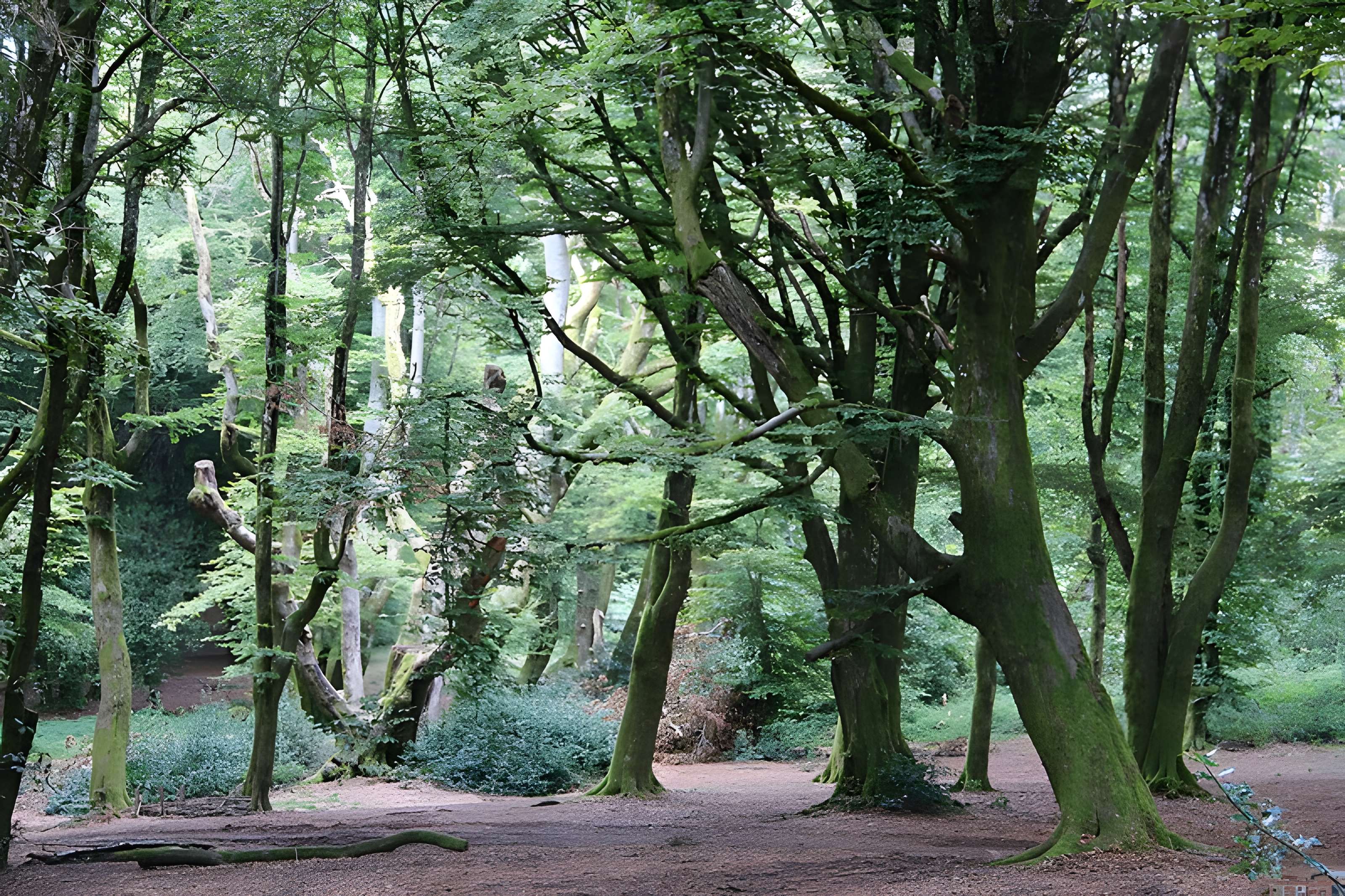 Oppidum du Mont-Beuvray, dit aussi oppidum de Bibracte (également sur commune de Glux-en-Glenne, dans la Nièvre)