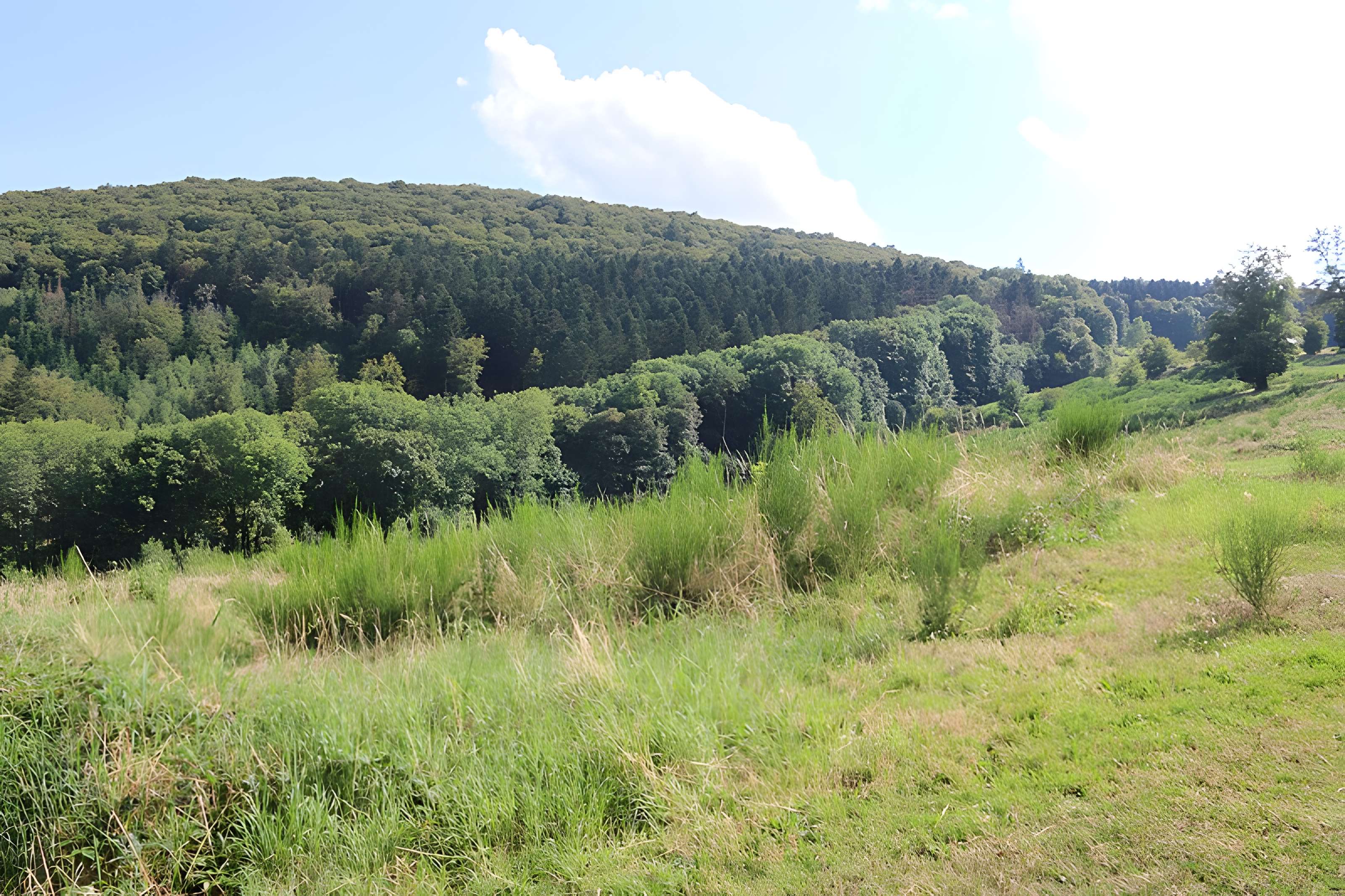 Oppidum du Mont-Beuvray, dit aussi oppidum de Bibracte (également sur commune de Glux-en-Glenne, dans la Nièvre)
