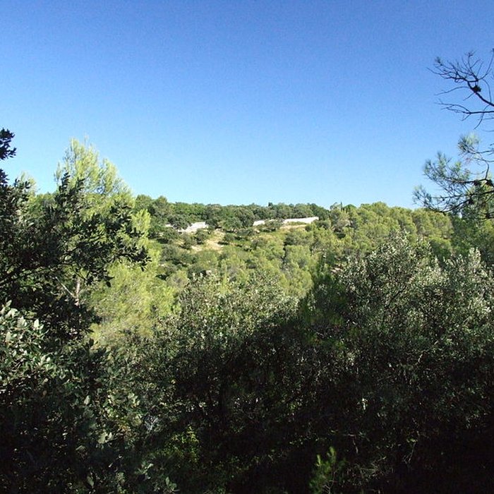 Photo de Oppidum de Nages