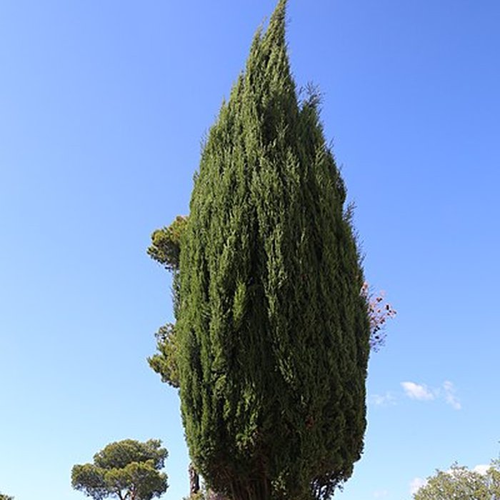 Photo de Oppidum dEnsérune à Nissan-lez-Enserune